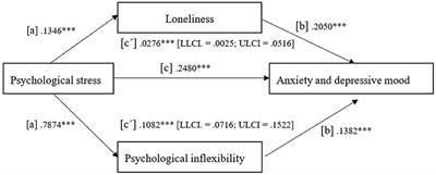 Psychological Inflexibility and Loneliness Mediate the Impact of Stress on Anxiety and Depression Symptoms in Healthcare Students and Early-Career Professionals During COVID-19